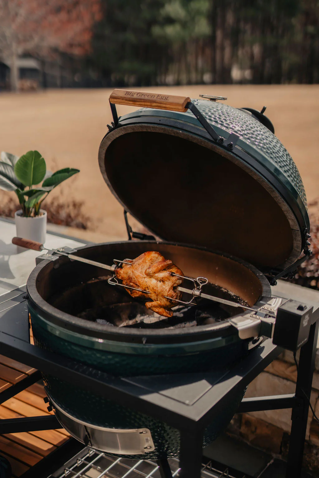 Large Rotisserie - Image 4