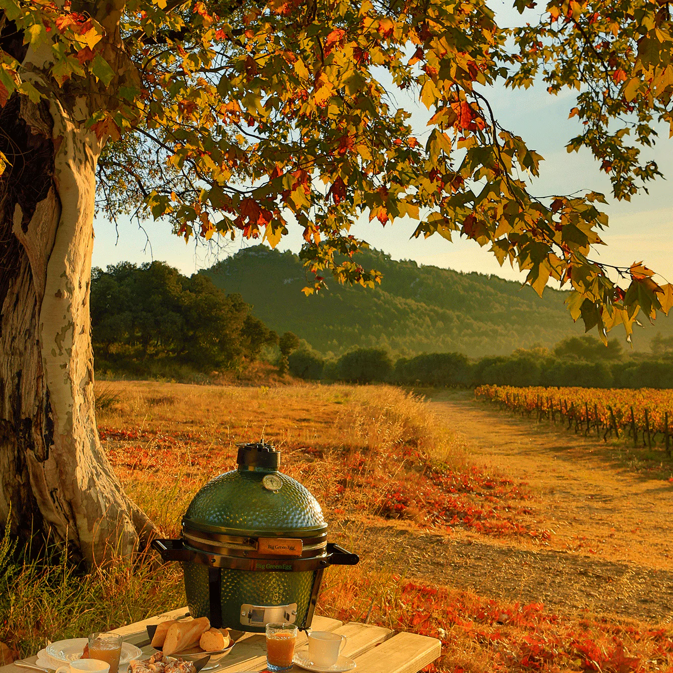 MiniMax Big Green Egg Package - Image 5
