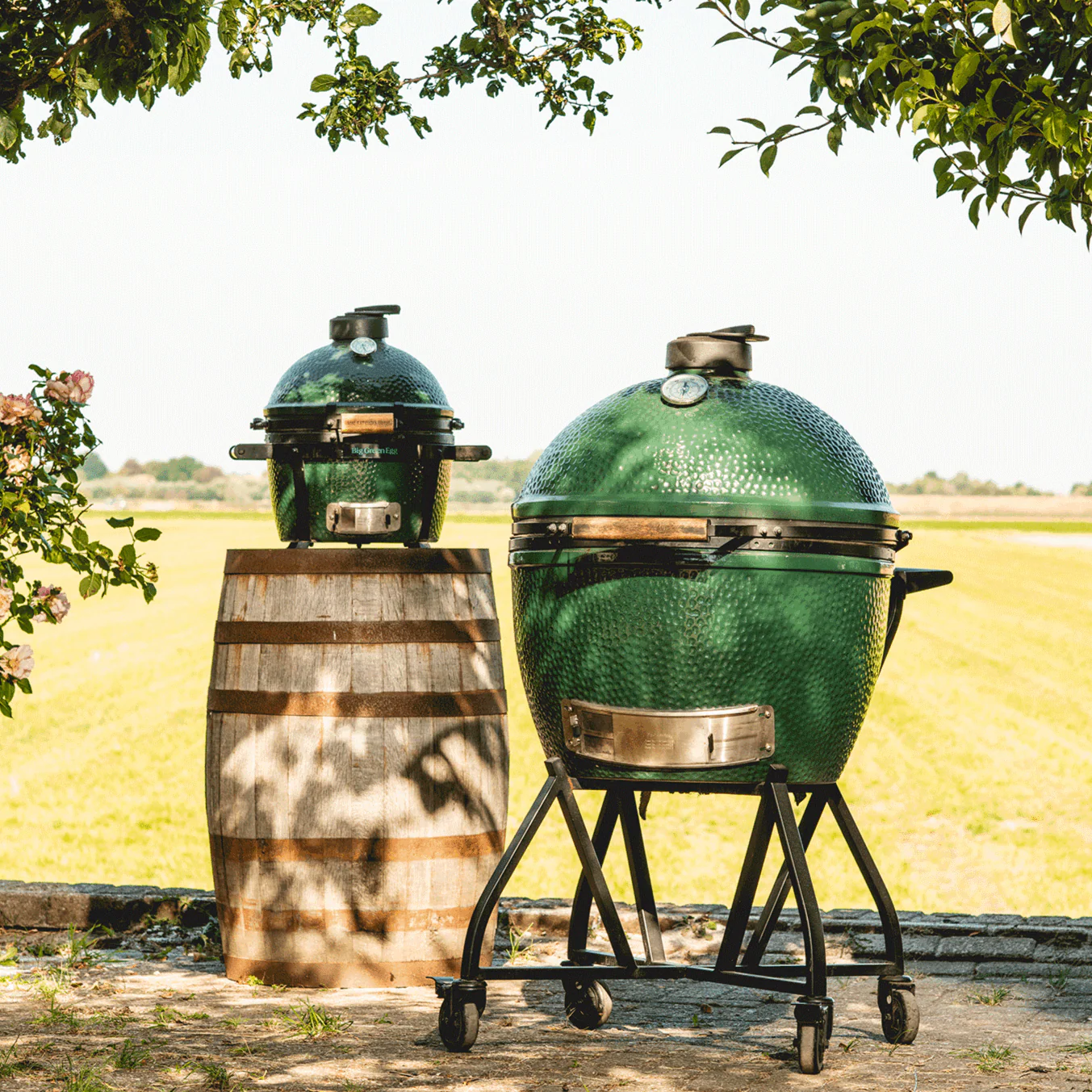 MiniMax Big Green Egg Package - Image 6